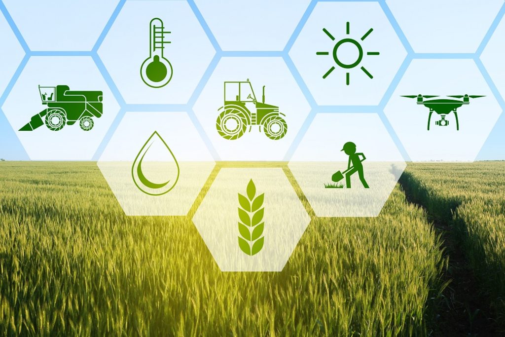 Kisah Sukses: 5 Startup Agritech Indonesia yang Go International ...